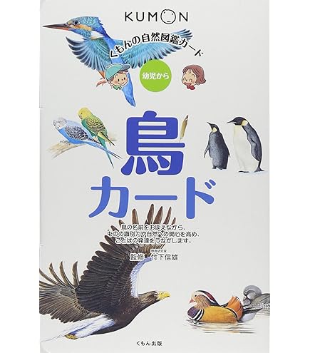 右脳の高速計算力を引き出す！「七田式ドッツセットPro」0歳から Amazon.co.jp: 右脳の高速計算力を引き出す！「七田式ドッツセット」0